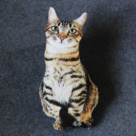 Creative Simulation 3D Cat Pillow Plush Toy (Option: Style 01-50cm)